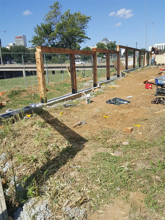 Timber posts set along a new fence line